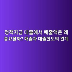 정책자금 대출에서 매출액은 왜 중요할까? 매출과 대출한도의 관계